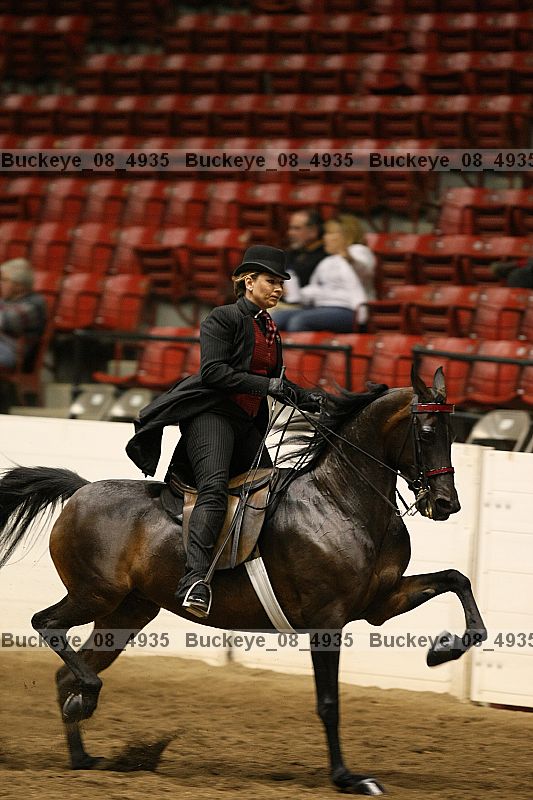Proof buckeye_08_4935
