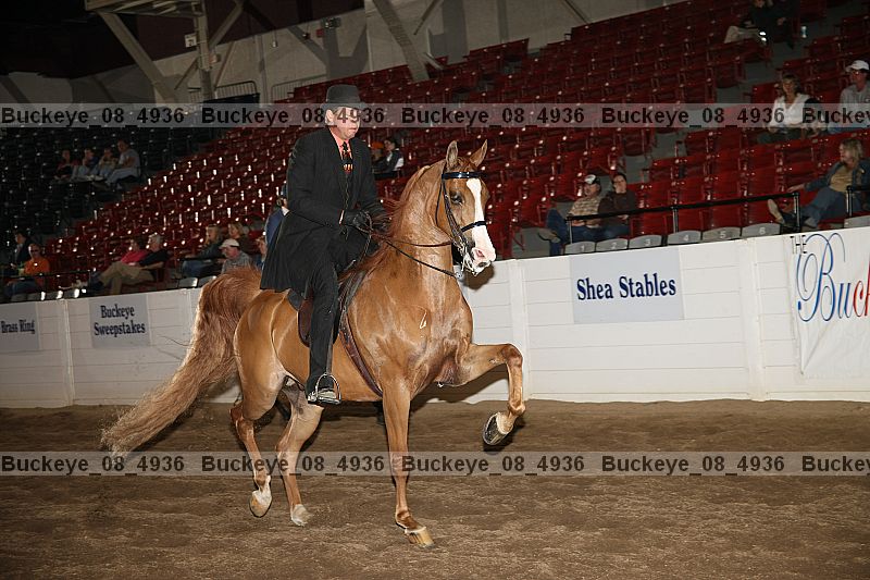 Proof buckeye_08_4936