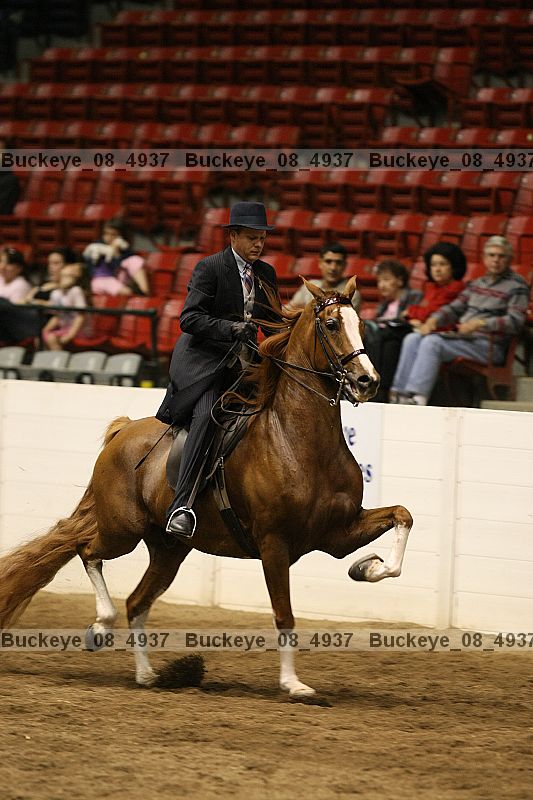 Proof buckeye_08_4937