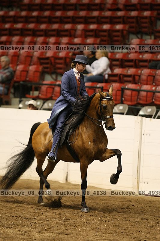 Proof buckeye_08_4938