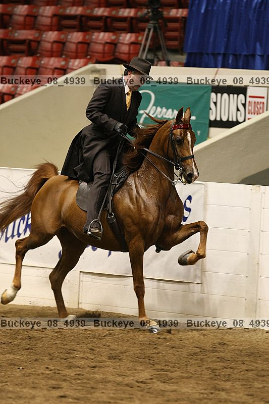 Proof buckeye_08_4939