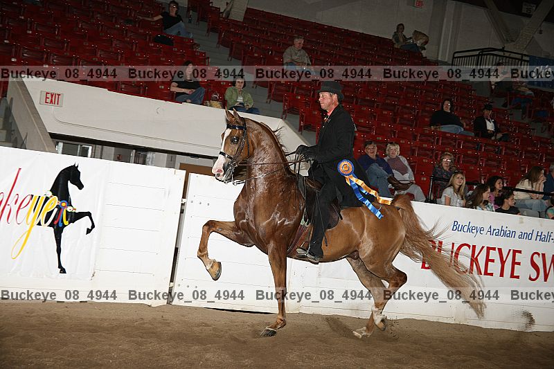 Proof buckeye_08_4944