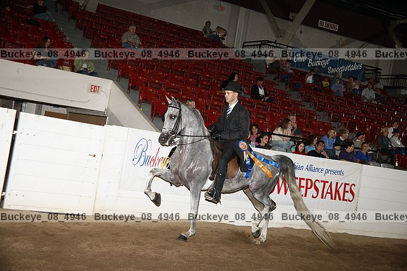 Proof buckeye_08_4946