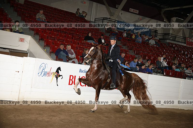 Proof buckeye_08_4950