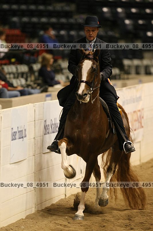 Proof buckeye_08_4951