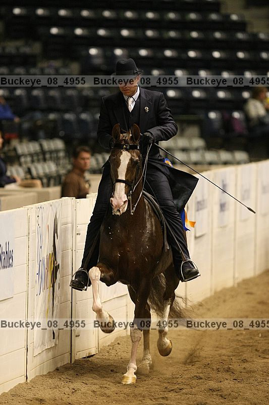 Proof buckeye_08_4955