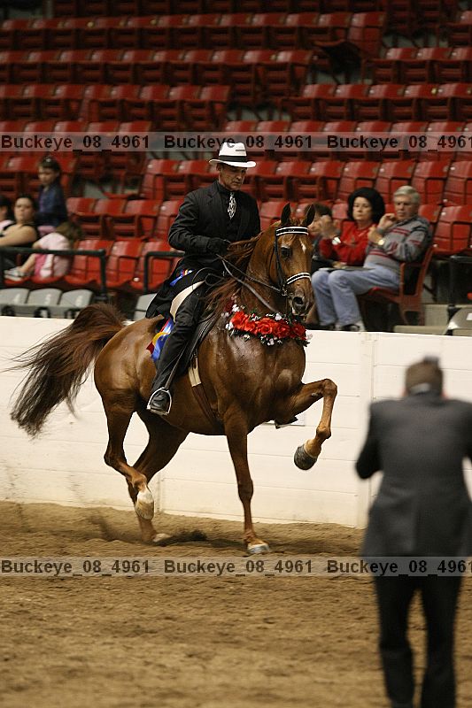 Proof buckeye_08_4961