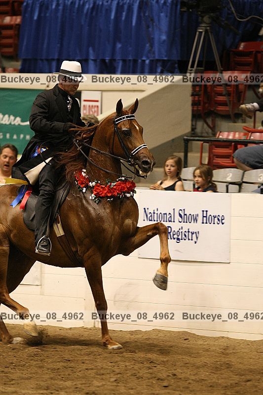 Proof buckeye_08_4962
