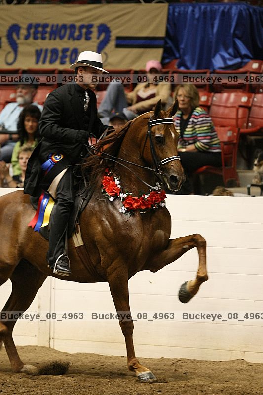 Proof buckeye_08_4963