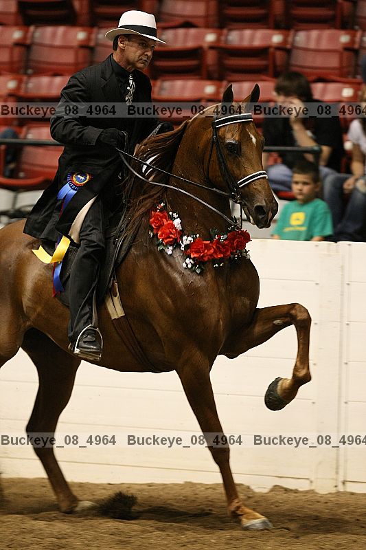 Proof buckeye_08_4964