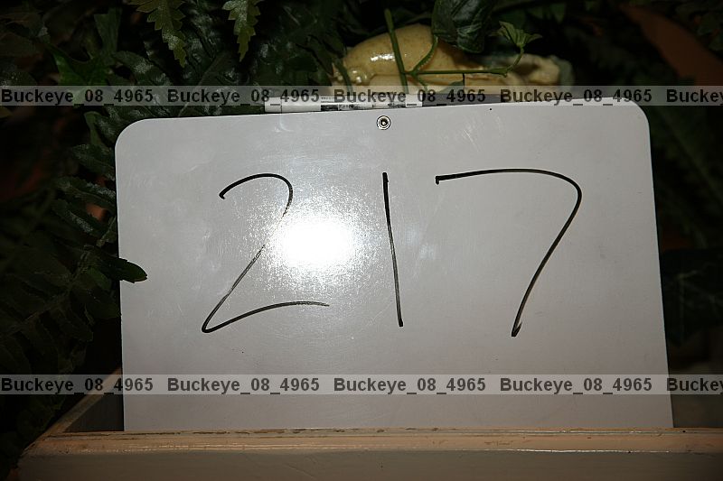 Proof buckeye_08_4965
