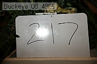 buckeye_08_4965 proof
