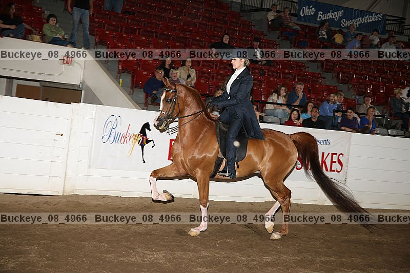 Proof buckeye_08_4966