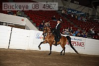 buckeye_08_4967 proof