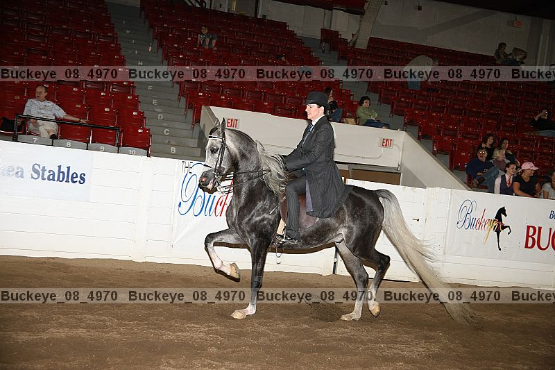 Proof buckeye_08_4970