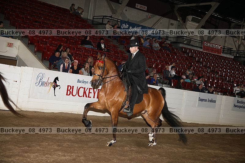Proof buckeye_08_4973
