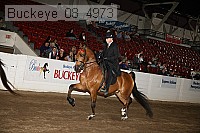 buckeye_08_4973 proof