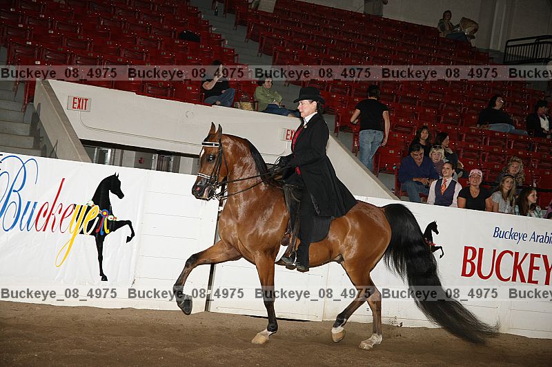 Proof buckeye_08_4975
