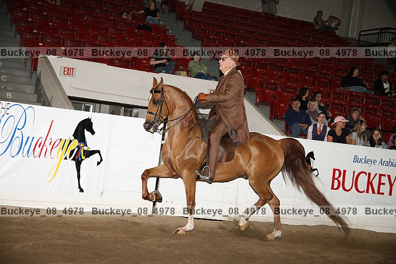 Proof buckeye_08_4978