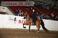 buckeye_08_4981 proof