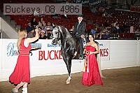 buckeye_08_4985 proof