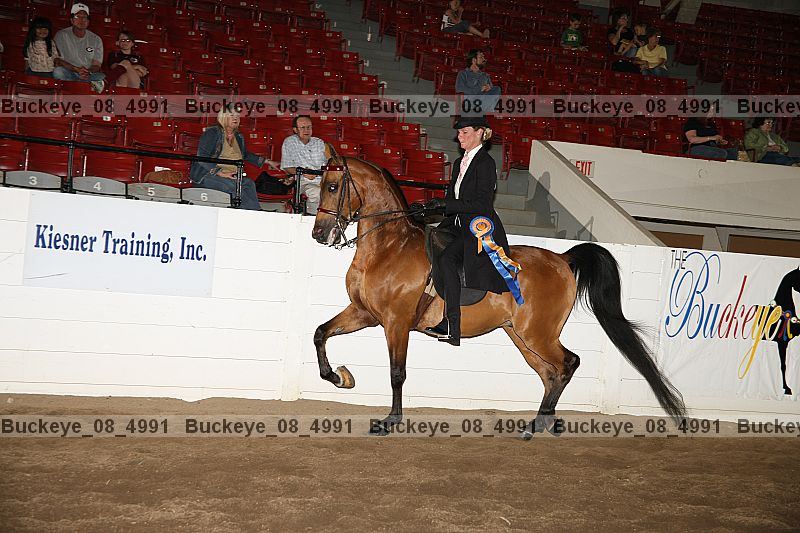 Proof buckeye_08_4991