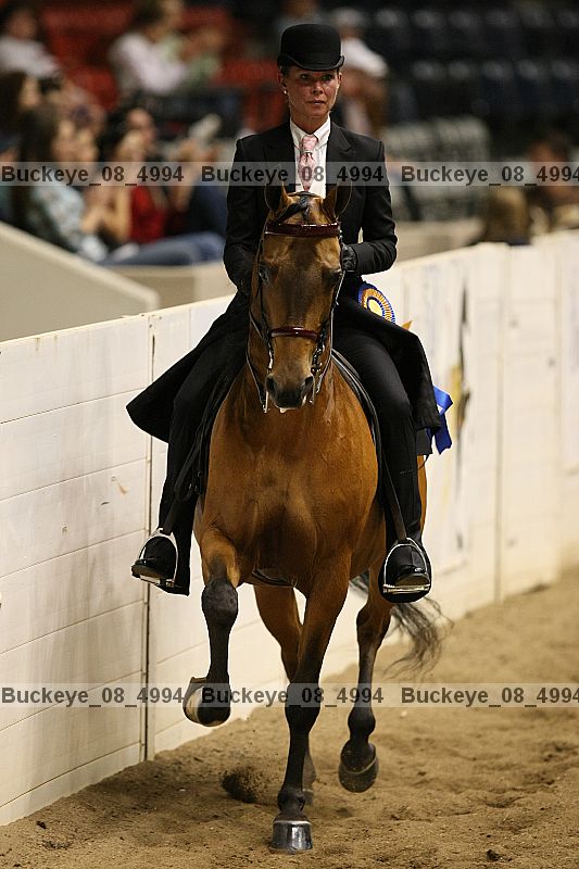 Proof buckeye_08_4994