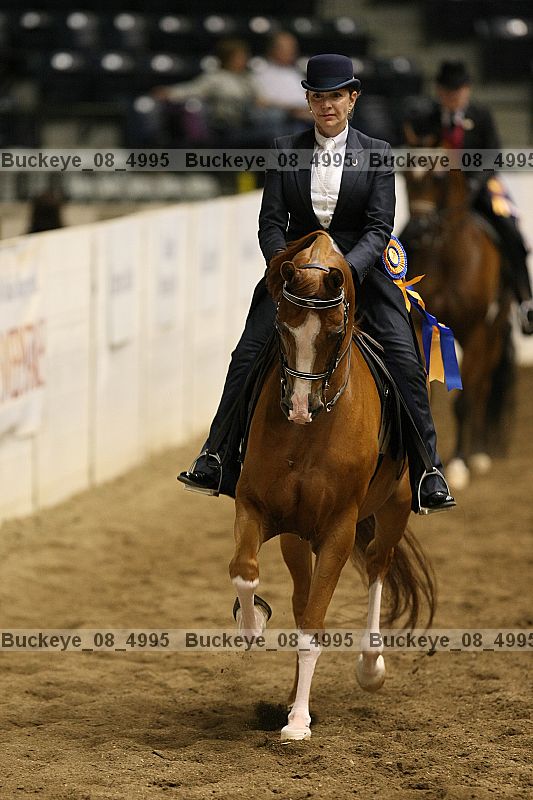 Proof buckeye_08_4995