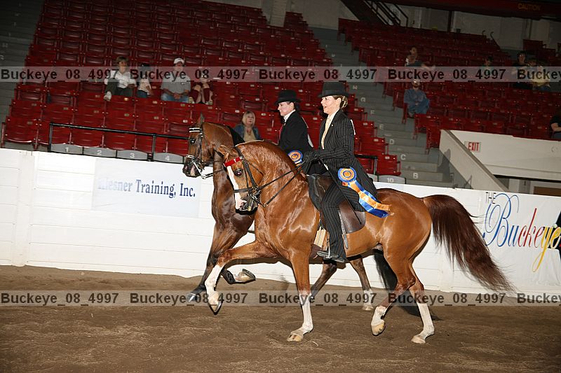 Proof buckeye_08_4997