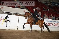 buckeye_08_5000 proof