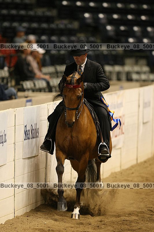Proof buckeye_08_5001