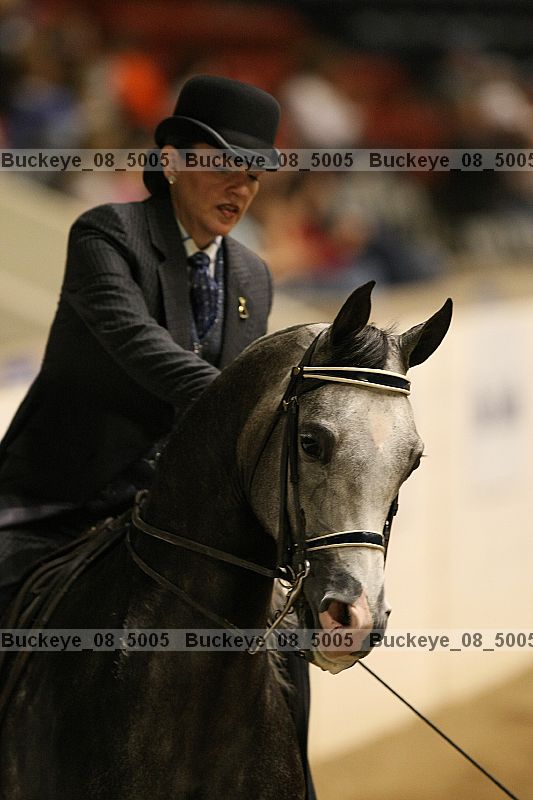 Proof buckeye_08_5005