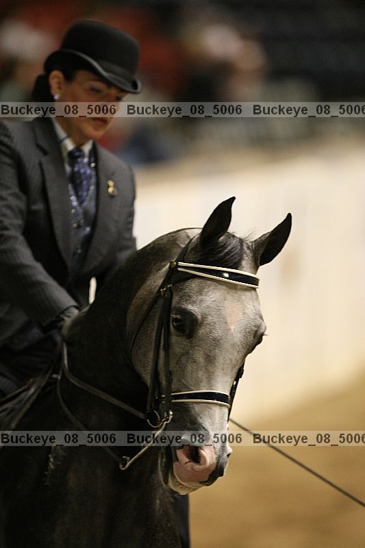 Proof buckeye_08_5006