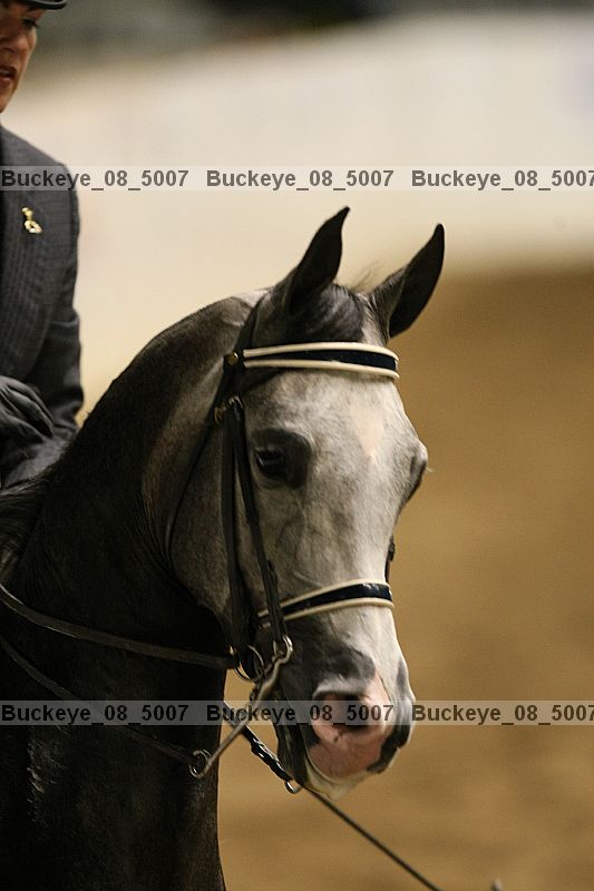 Proof buckeye_08_5007