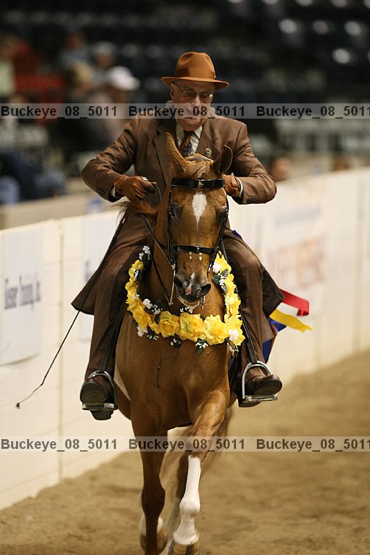 Proof buckeye_08_5011