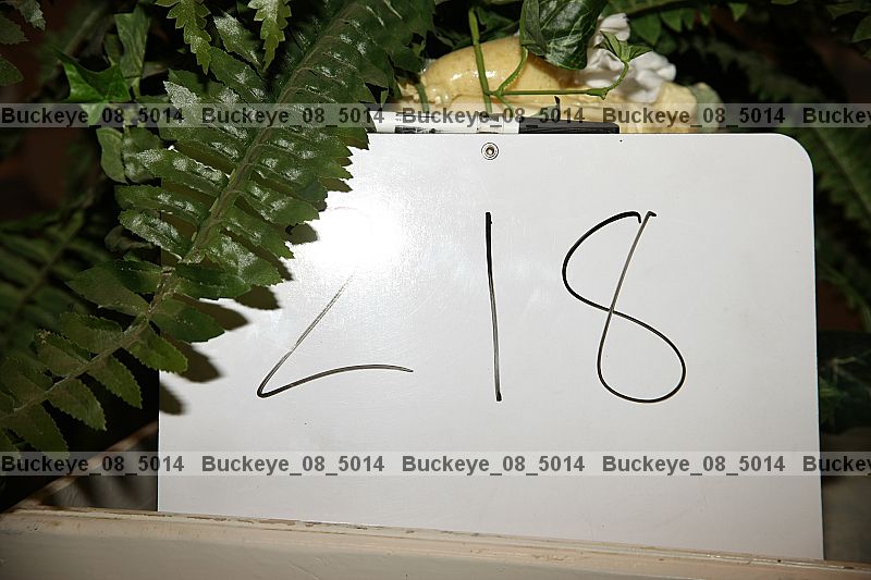 Proof buckeye_08_5014
