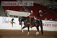 buckeye_08_5019 proof