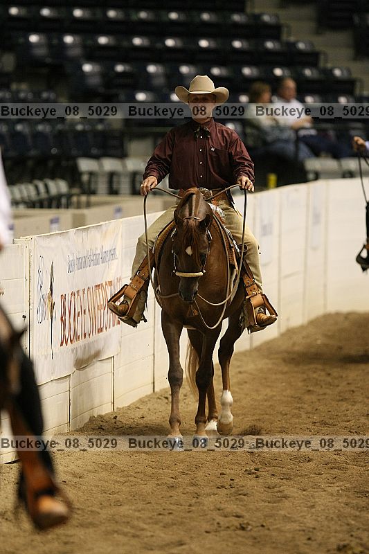 Proof buckeye_08_5029