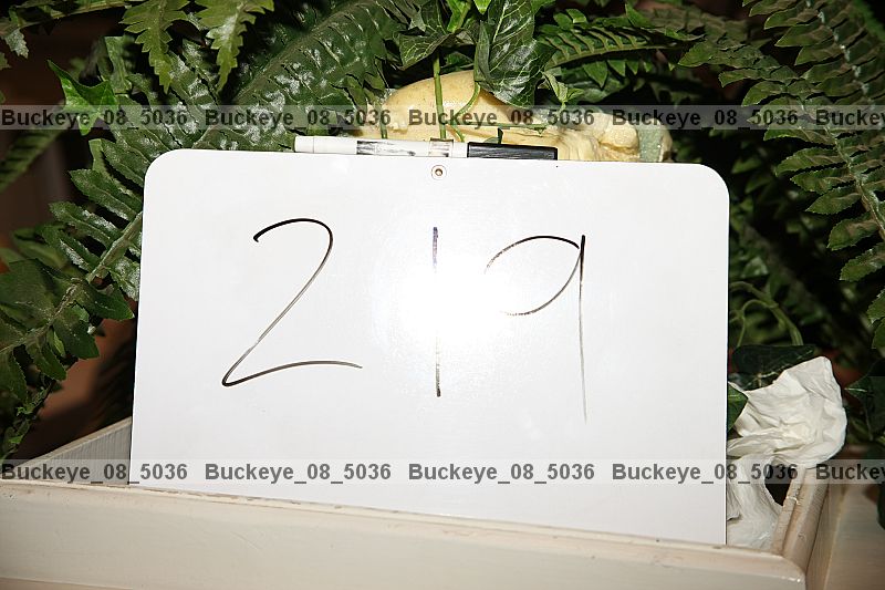 Proof buckeye_08_5036