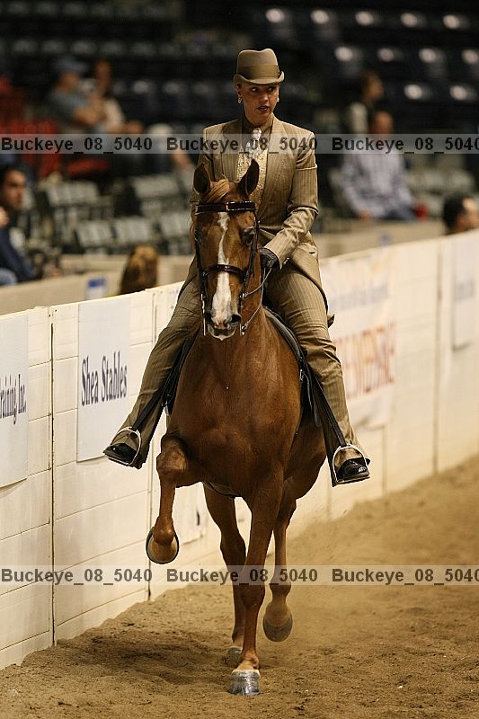 Proof buckeye_08_5040