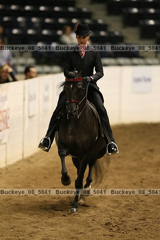 Proof buckeye_08_5041