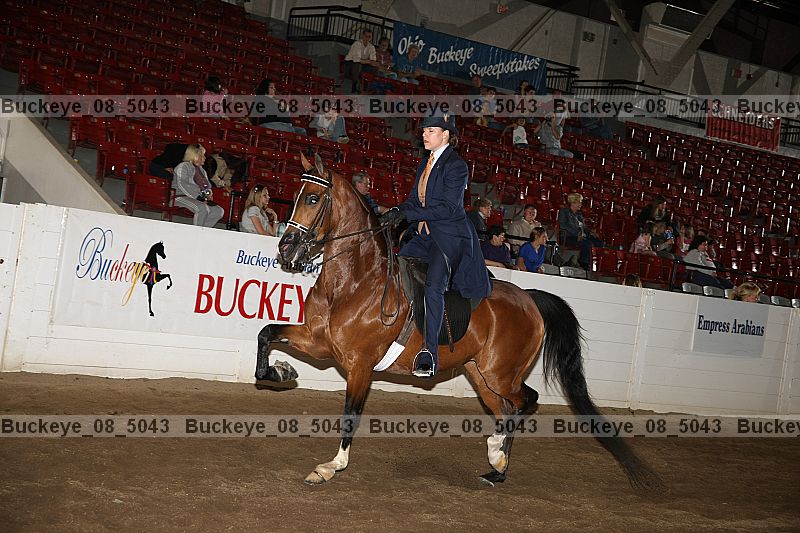 Proof buckeye_08_5043