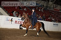 buckeye_08_5043 proof