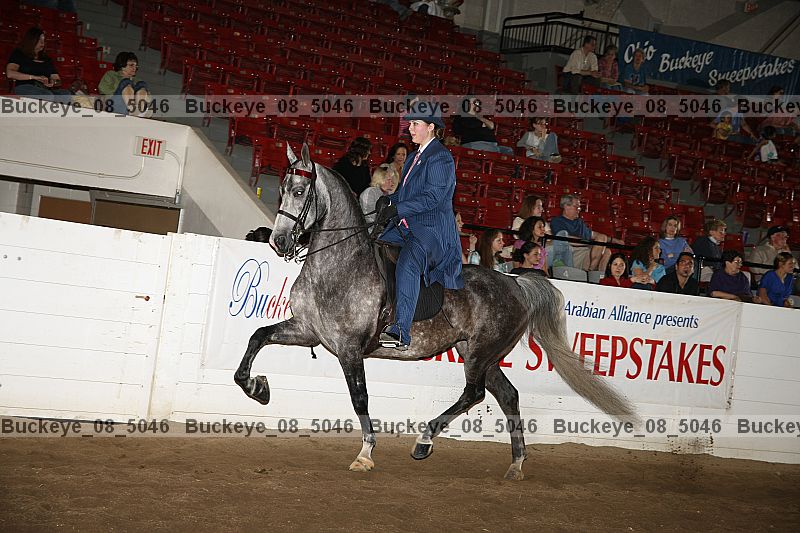 Proof buckeye_08_5046
