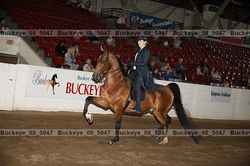 Proof buckeye_08_5047