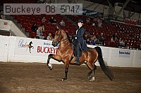 buckeye_08_5047 proof