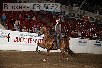 buckeye_08_5052 proof
