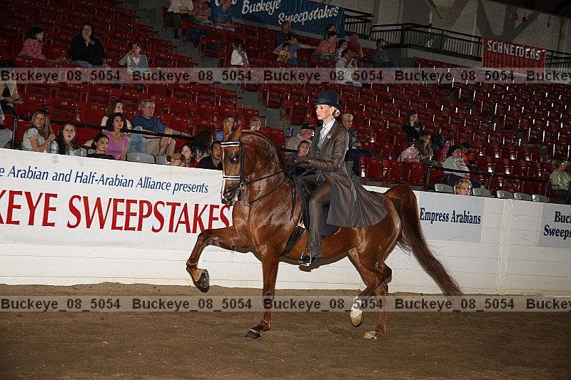 Proof buckeye_08_5054