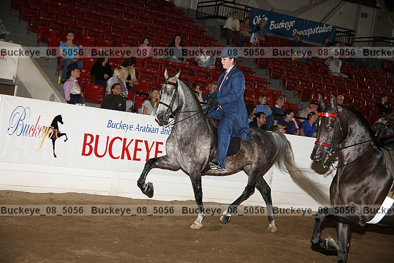 Proof buckeye_08_5056