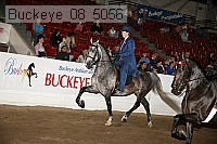 buckeye_08_5056 proof